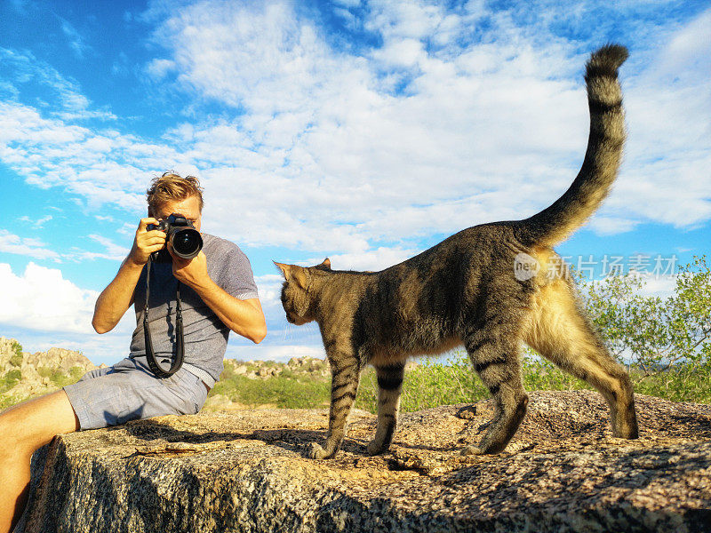 一位年轻的男游客在纳米比亚露营时拍下了一只野猫的照片