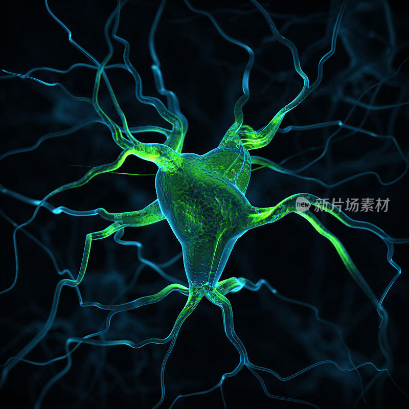神经元抽象背景