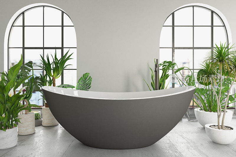 经典水疗浴室与浴缸和植物