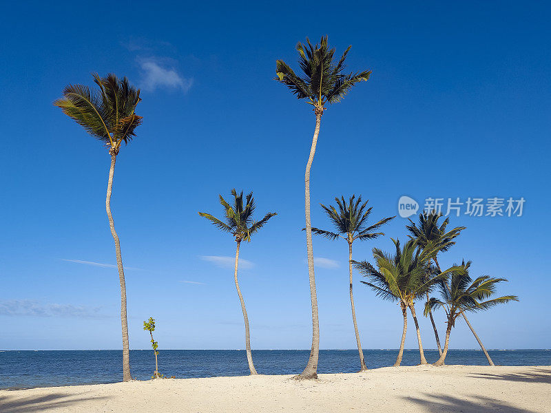 多米尼加共和国的热带海滩