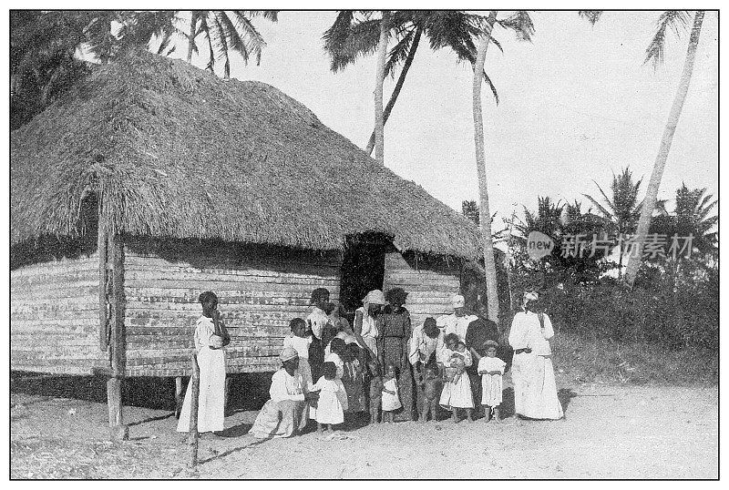 古董黑白照片:椰子采摘者，圣地亚哥德古巴
