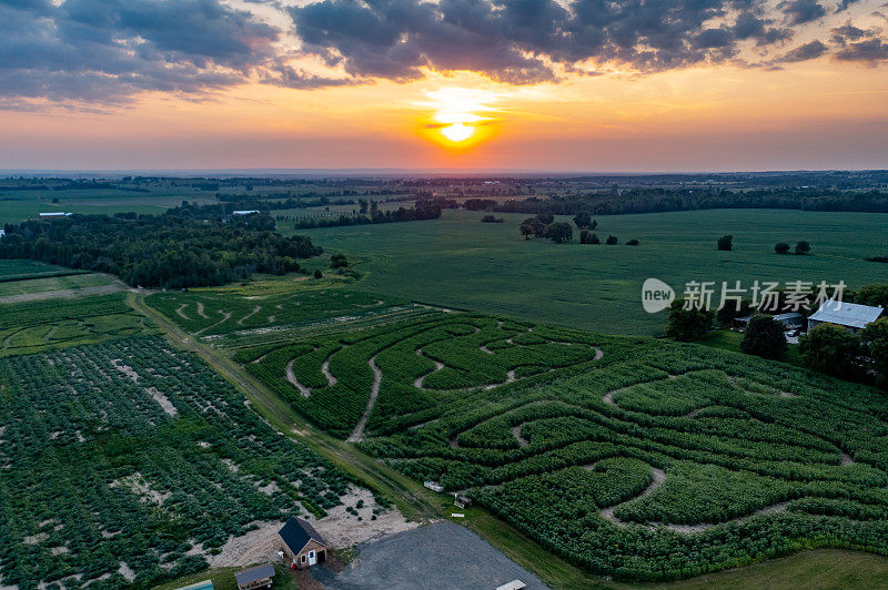 加拿大库克敦，夕阳下27号公路上的农场