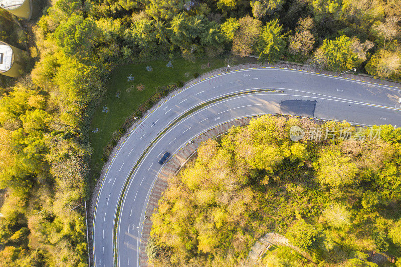 蜿蜒的道路。穿过森林的田园诗般的蜿蜒道路