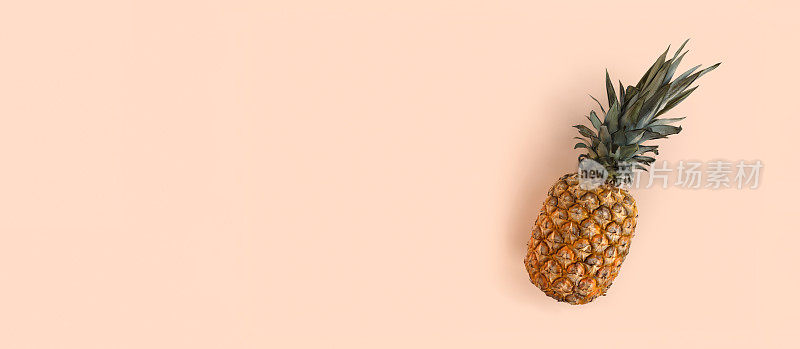 多汁菠萝的横幅躺在一个时髦的软米色粉红色的背景