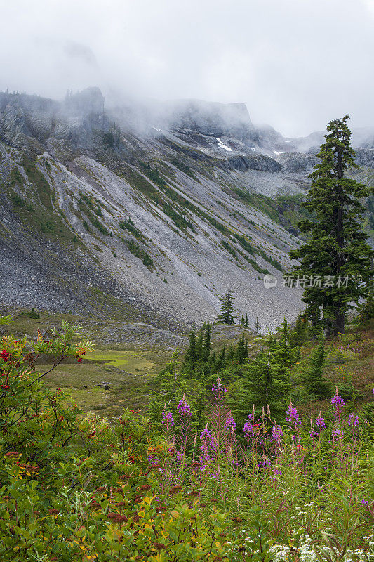 贝克山休闲区希瑟草地的风景