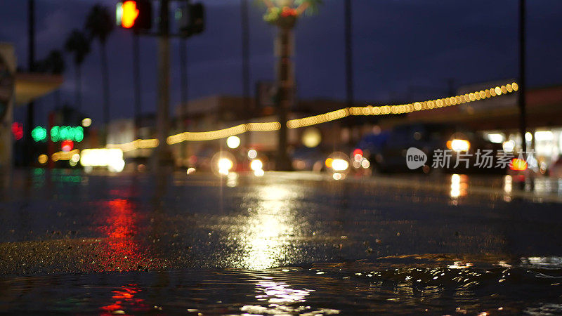 雨天道路上反射的灯光。棕榈树和降雨，加利福尼亚。