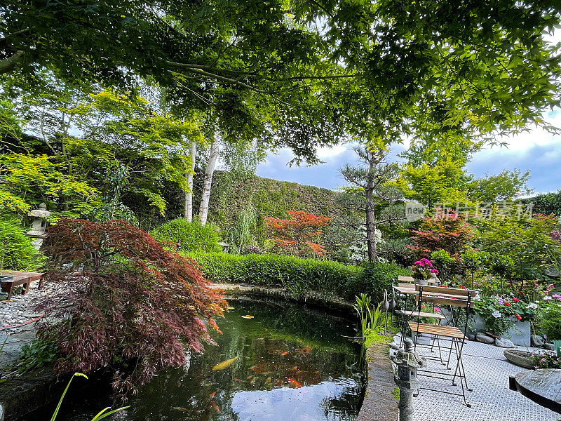 户外用餐区形象，鱼塘边的木制折叠式桌椅，花布图案，树金金鱼游锦鲤，悬垂的枫树枝，青苔红砖墙，竹篱，聚焦前景