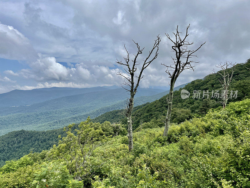 天际线驱动器