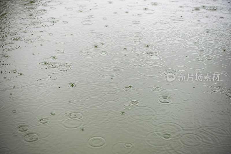 水库表面的雨滴形成的圆圈