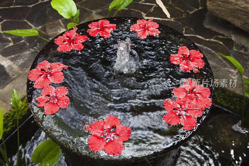 红色芙蓉花喷泉温泉