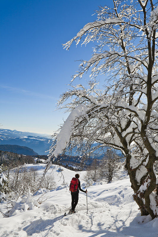 享受雪景，巴尔多山