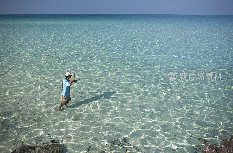 在加勒比海钓北梭鱼。