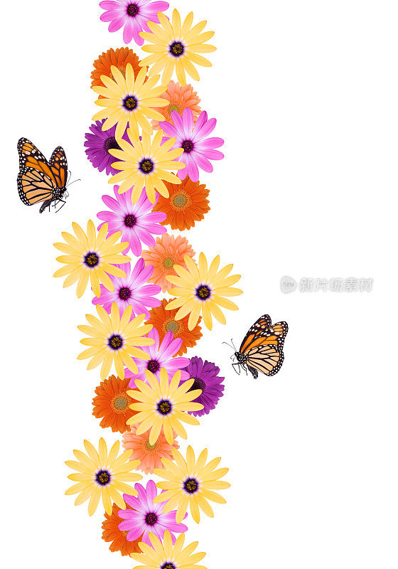 雏菊和蝴蝶