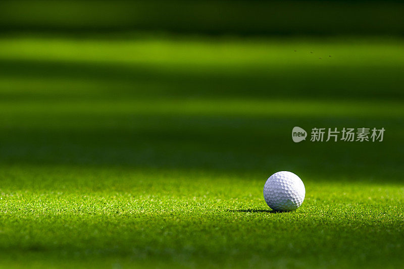 草地上的高尔夫球