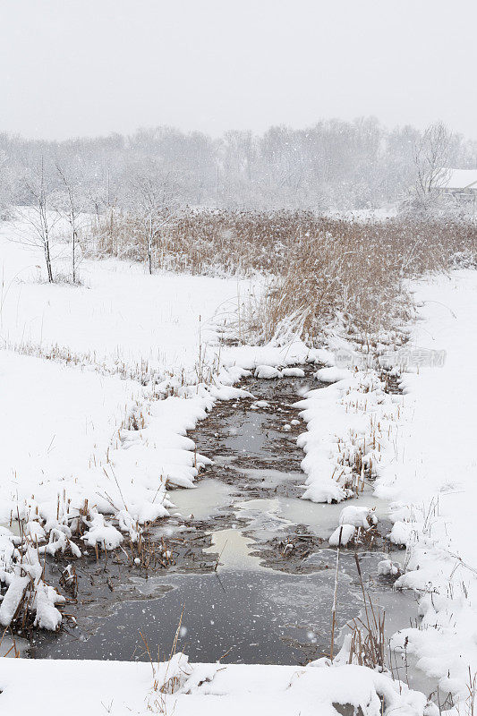 冬季仙境-冰冻的水和景观