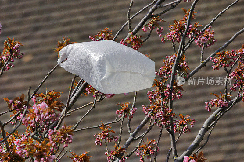 白色的塑料袋在风中翻腾