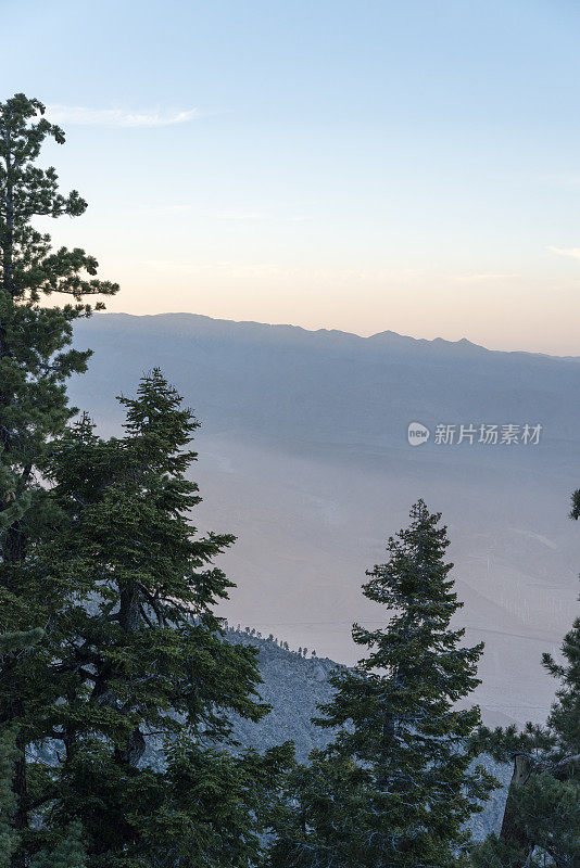 科切拉山谷和棕榈泉