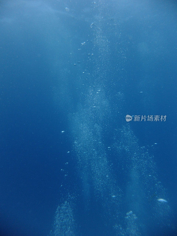 气泡上升到水面