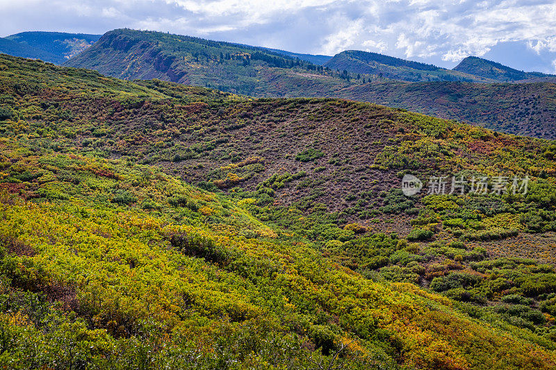 灌木橡树山和山景