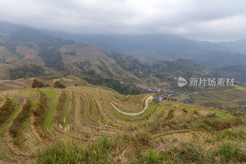 中国龙胜梯田