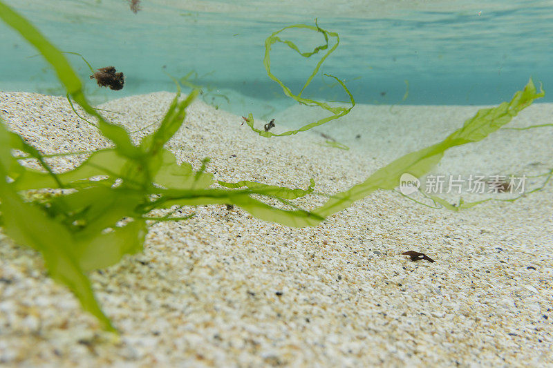 康沃尔南部浅海海床和海面