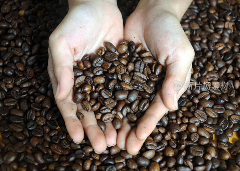 咖啡豆来自双手