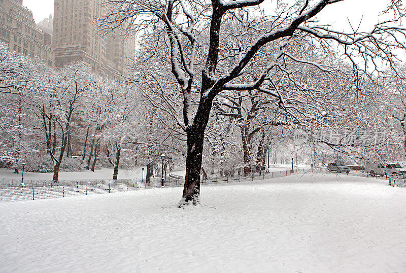 中央公园的雪