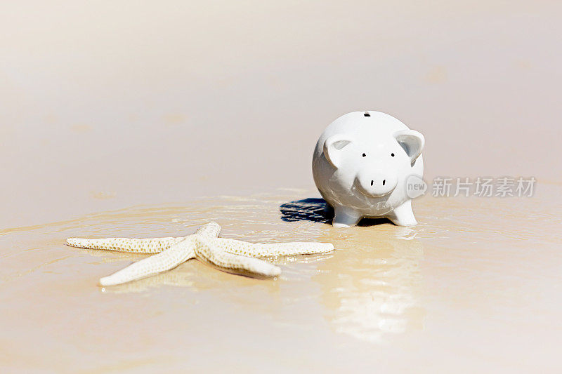 假日储蓄有回报!在沙滩上玩Piggybank