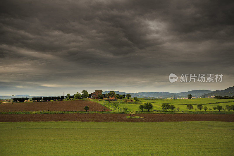 绿色的风景