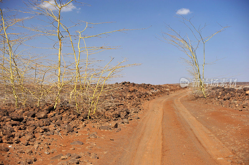 穿过沙漠的土路，非洲