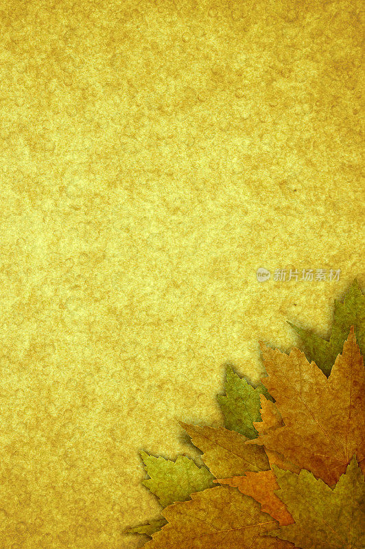 秋季金色背景框