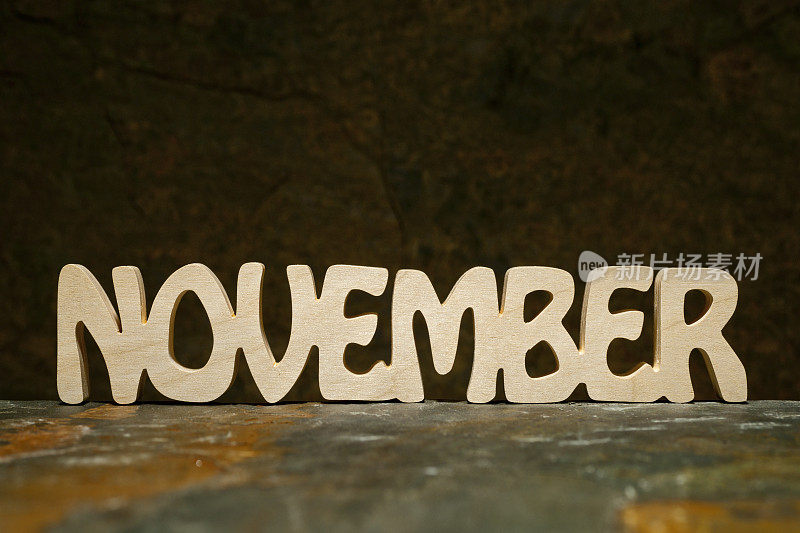 十一月:一年中的月份