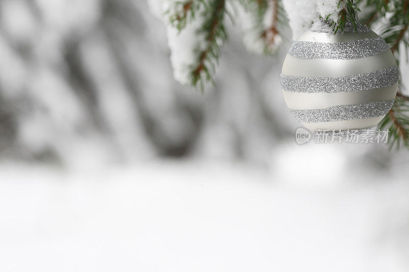 挂在松树上的银色圣诞装饰品