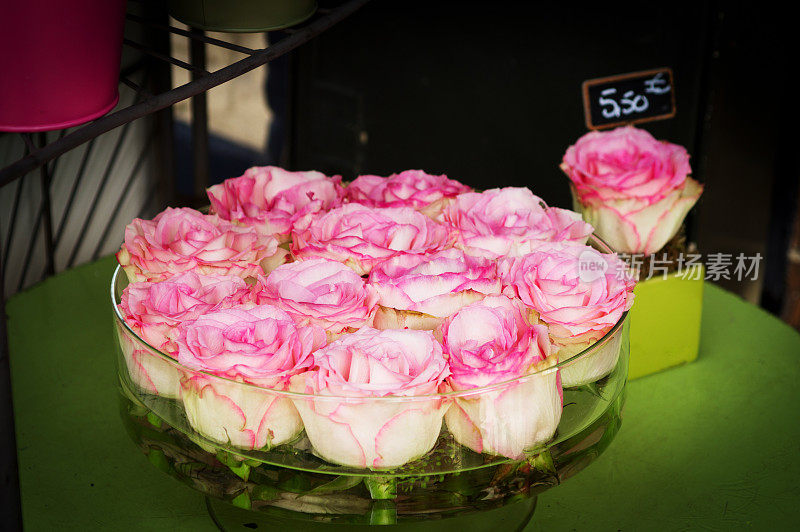 粉色和白色的玫瑰在碗里
