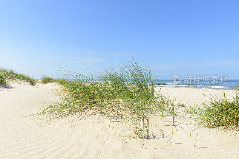 夏天在沙滩上有沙丘和海浪