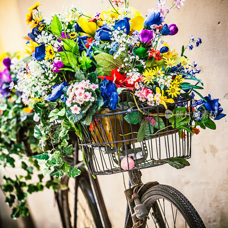 彩色花朵的旧自行车，浪漫的意大利