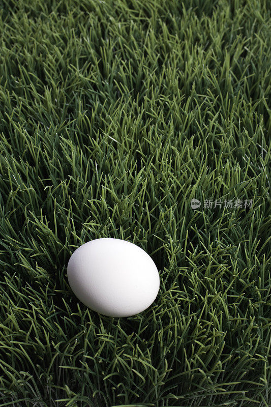 鸡蛋在草地上