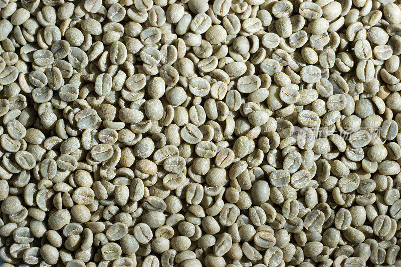 未烘焙的绿咖啡豆