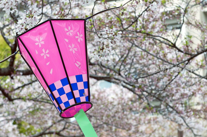 灯笼和樱花在日本