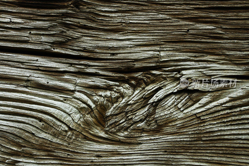 风化老化的原木木质纹理。结。