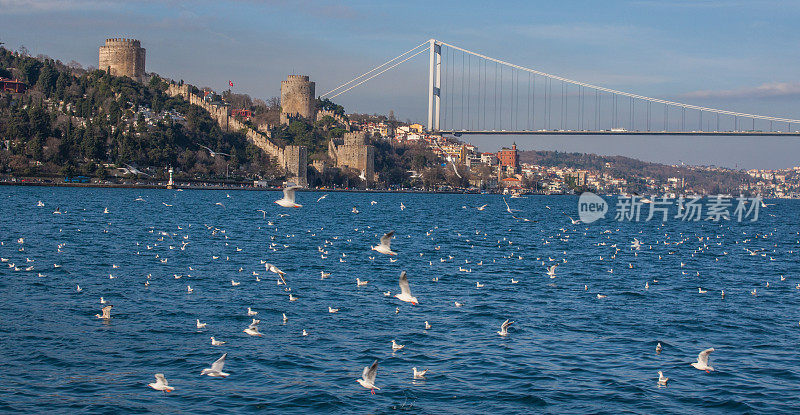 伊斯坦布尔-博斯普鲁斯大桥