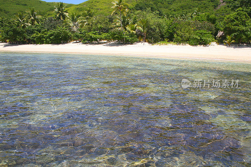 半透明的珊瑚礁和热带天堂:梦幻般的沙子荒芜的绿松石海滩和棕榈树，田园般的Yasawas，斐济群岛