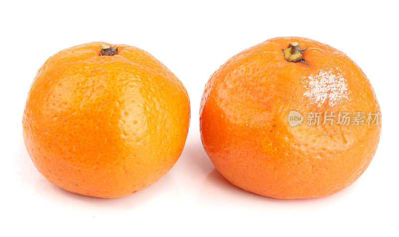 发霉和良好的橘子孤立在白色的背景