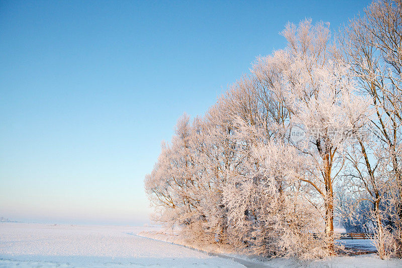 冬天的风景，荷兰的圩田