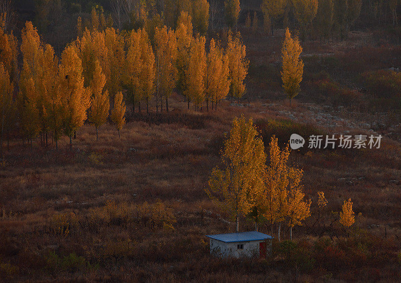 中国农村的秋景