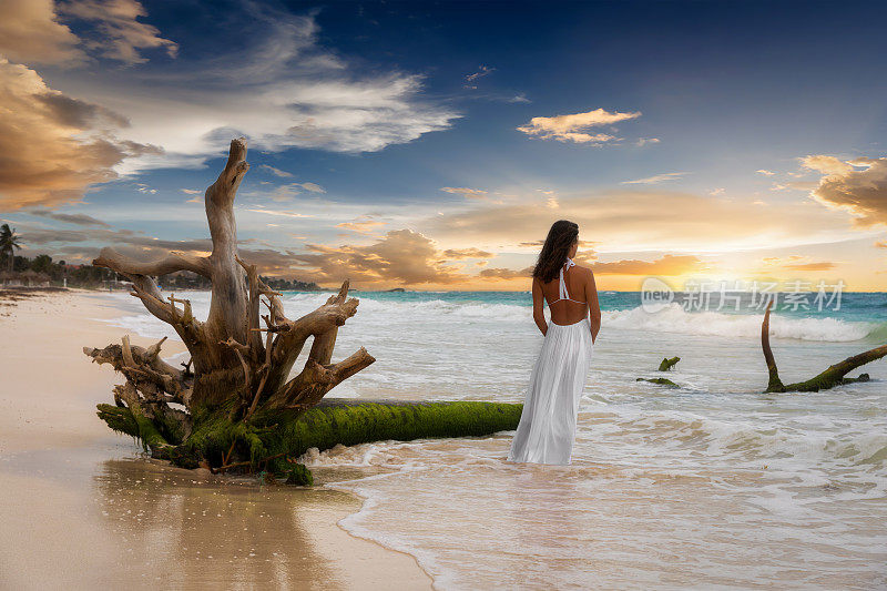迷人的女人站在旁边的一棵浮木在加勒比海滩上