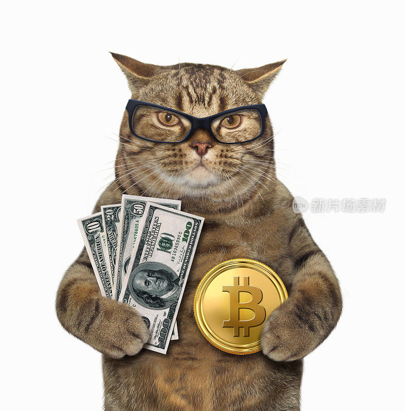 猫与比特币和美元