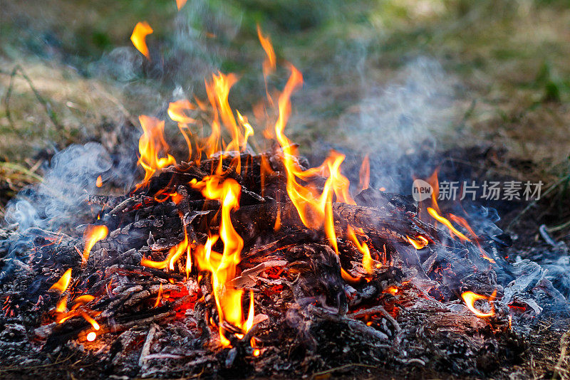 火灾的照片。燃烧着火焰的舌头。燃烧的树枝在火中闷烧。夏日野餐的篝火。自然火的质地。