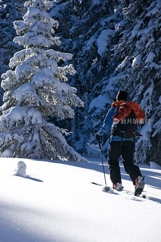 滑雪者在新雪山上滑雪旅游