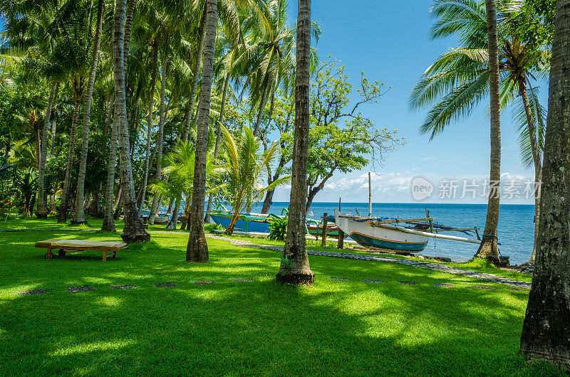 巴厘岛-棕榈树和观赏海洋与绿色草地，放松在日出与双体船